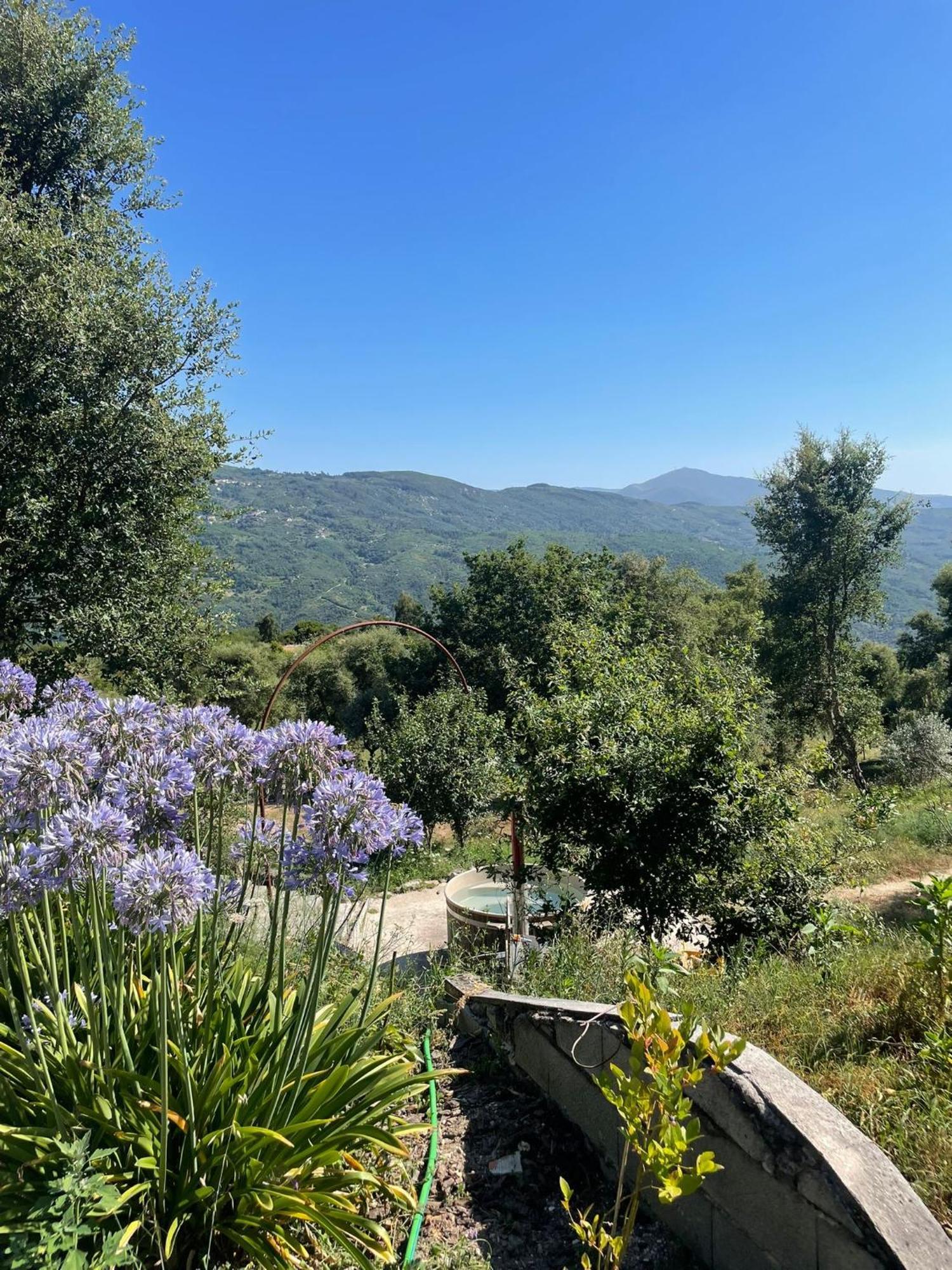 Monkey Tiny Barnhouse With Amazing Views! Villa Folhadosa Buitenkant foto